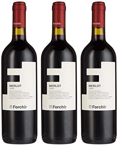 Forchir Merlot Mirie / Trocken (3 x 0.75 l) von Forchir