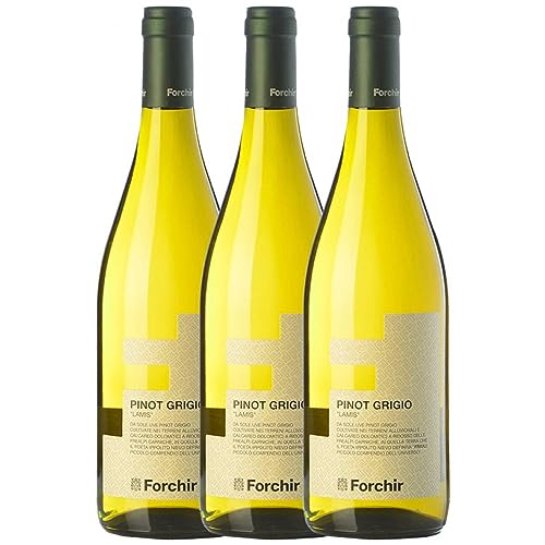 Forchir Pinot Grigio Lamis Pinot Grau Friuli Grave 75 cl (Schachtel mit 3 Flaschen von 75 cl) von Forchir