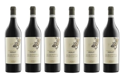 6x 0,75l - 2022er - Fortant de France - Terroir d'Altitude - Merlot - Pays d'Oc I.G.P. - Frankreich - Rotwein trocken von Fortant de France