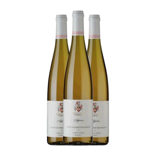 Freiherr von Gleichenstein Hofgarten Rosé Spätburgunder Trocken Baden 75 cl Rosé-Wein (Karton mit 3 Flaschen von 75 cl) von Freiherr von Gleichenstein