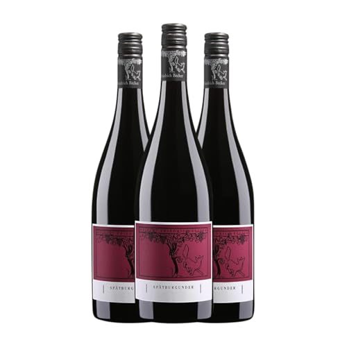 Friedrich Becker Spätburgunder Trocken Gutswein 75 cl Rotwein (Karton mit 3 Flaschen von 75 cl) von Friedrich Becker