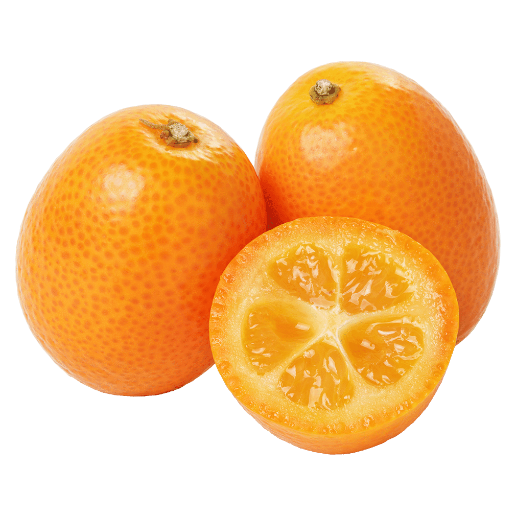 Bio Kumquat, 1 kg von Frischesortiment