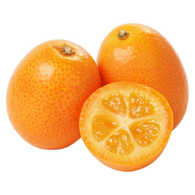 Bio Kumquat, 1 kg von Frischesortiment