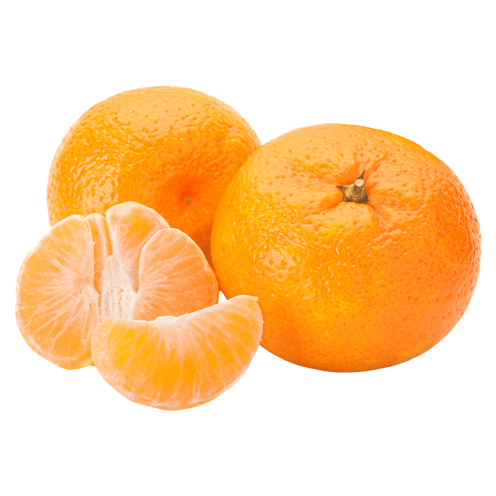 Bio Satsuma, 1 kg von Frischesortiment