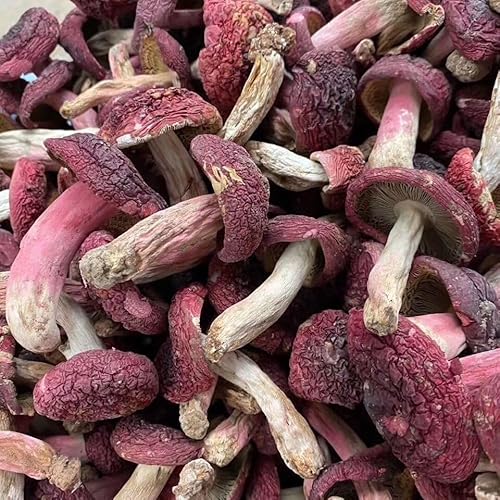 Roter Pilz, kleiner getrockneter Pilz, 50 g von Fujian Friday