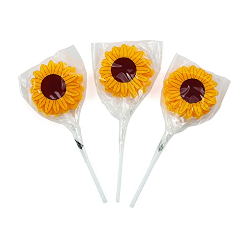 Fun Express Sunflower Sucker Lutscher (12er Set) von Fun Express