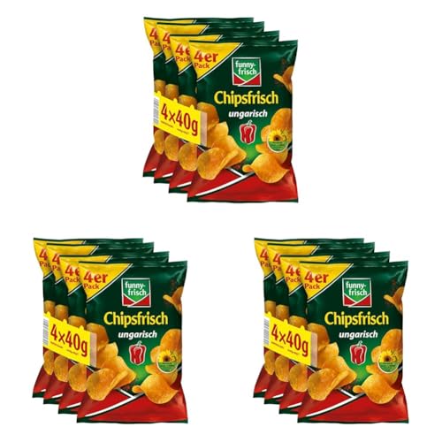 funny-frisch Chipsfrisch ungarisch Multipack, 4 x 40 g (Packung mit 3) von Funny-Frisch