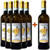 Fuocomuorto 2023 5+1 Paket Vesuvio Lacryma Chr. Bianco DOC von Fuocomuorto