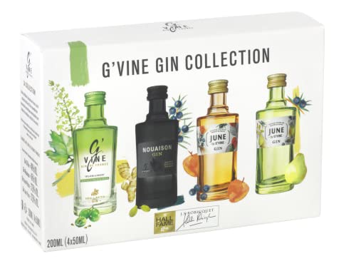 G'VINE Gin Collection (4 x 50ml) – Probierset mit 4 einzigartigen Gin-Sorten aus Frankreich – Gin Set ideal als Geschenk oder für Gin Tasting – 37,5, 40 & 45 % Vol. von G'Vine