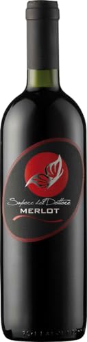 G. Brisotto 2022 Merlot delle Venezie Sapore del Dottore DOC 0.75 Liter von G. Brisotto