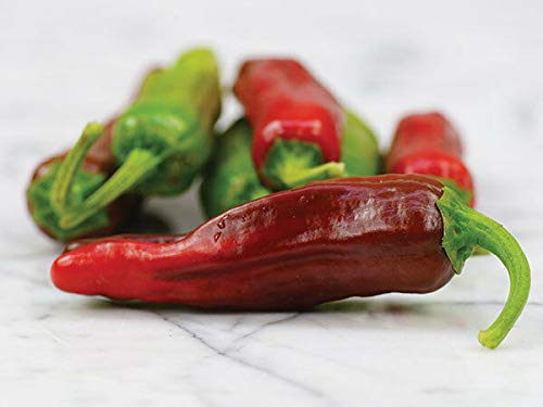 GETSO Samen-Paket Nicht Pflanzen: 50 - Samen: Italienisch Pepperoncini Pfeffer Seeds - haben einen hervorragenden Geschmack und nur EIN wenig Wärme von GETSO