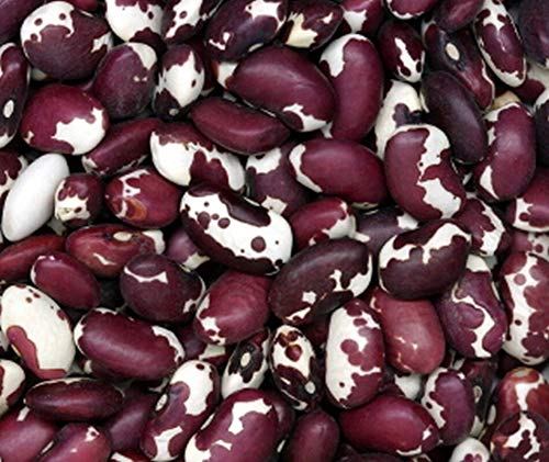 GETSO Samen-Paket Nicht Pflanzen: 50 - Seeds: Anasazi Bean Seeds - Atemberaubende Burgunder und -Farbe Sprenkel !! Köstlich!!! von GETSO