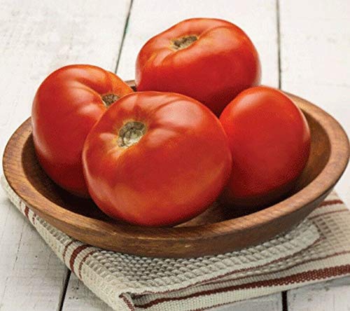 GETSO Samen-Paket Nicht Pflanzen: 50 - Seeds: Dixie Red F1 Hybrid Tomatensamen - hohe Ausbeuten an großen 8 bis 12red Tomaten von GETSO