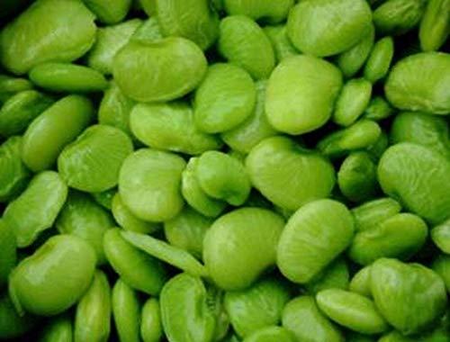 Samen-Paket Nicht Pflanzen: 50 - Seeds: Henderson (Baby) Lima Bean - Groß ery Geschmack! Große für die Konservierung und Gefrieren von GETSO