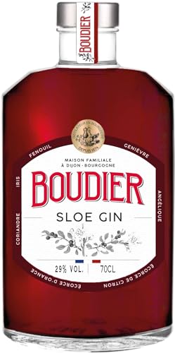 Gabriel Boudier Sloe Gin (1 x 0.7l) von Gabriel Boudier