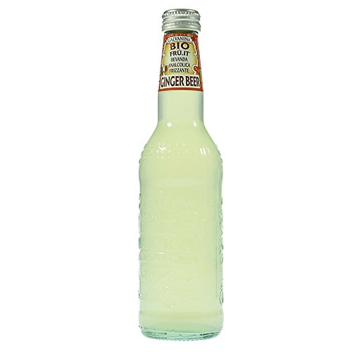 GALVANINA - 12 x Ginger Beer Bio 335ml von Galvanina