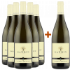 Gandin 2022 5+1 Paket Pinot Grigio Friuli Isonzo DOC von Gandin