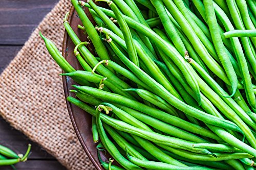 BIO - Grüne Bohnen"Slenderette" - zertifizierte Bio-Samen - samen von GardenSeedsMarket