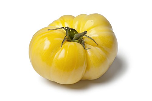 Tomate"White Beauty" - Feld, weiße Sorte - samen von GardenSeedsMarket