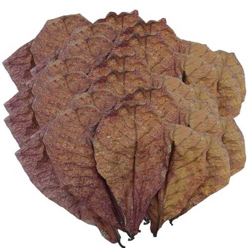 Aquarium Catappa Leaves – PH Balance Wasseraufbereiter Für Aquarien, Catappa Leaves Für Einsiedlerkrebse | Schildkrötenaquarium Und Aquarium, Nestzubehör Für Schlangen, Eidechsen, Froschlebensraum von Generic