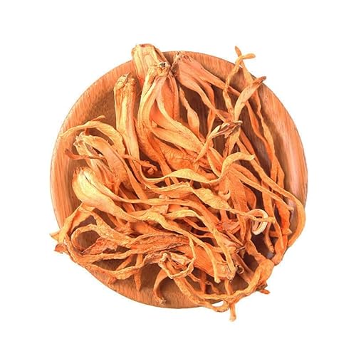 Chinesische Tradition Gesunde Pflege Cordyceps Sinensis Getrockneter Pilz 500g Bio von Generic