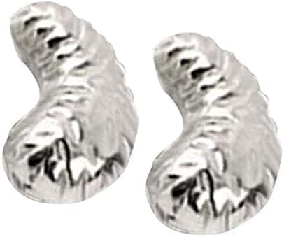 Ganesha Arts Cashew in reinem Silber für Puja, bietet Kaju Trockenfrüchte Prasad Hindu-Religion Pooja Artikel (25 Stück (50 g) von Generic