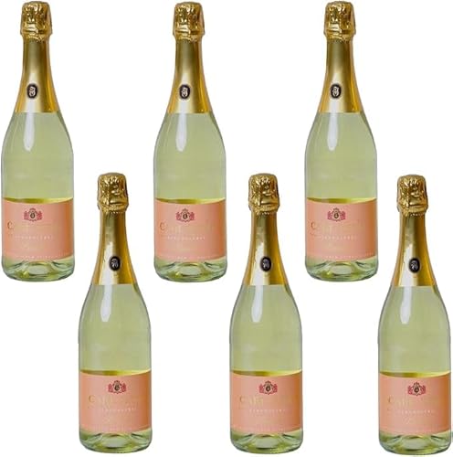 Generic Peach Schaumwein alkoholfrei Sekt Carl Jung mit MHD 750ml - 15 Stk von Generic