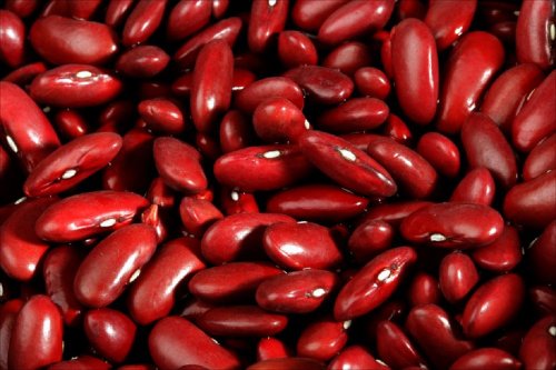 Heirloom Non GMO Dark Red Kidney Beans 25 Seeds: Only seeds von Generic