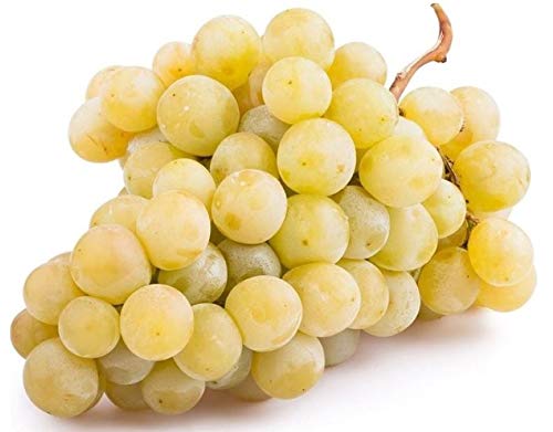 White Grape Muscat Vitis Vinifera X 20 Highly Aromatic Seeds and Sweet Table von Generic