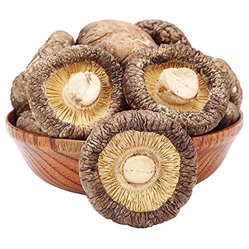 Winterpilz Pilze Trockener Shiitake Essbare Pilze Sind Köstlich Nahrhaft (50g) von Generic