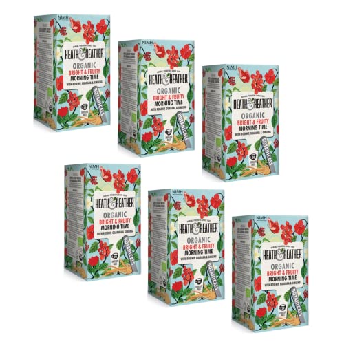 Heath & Heather Bio Apfel Infusion, Hibiscus, Guarana und Ginseng, 6 x 20 Teebeutel (240 g) von Generico