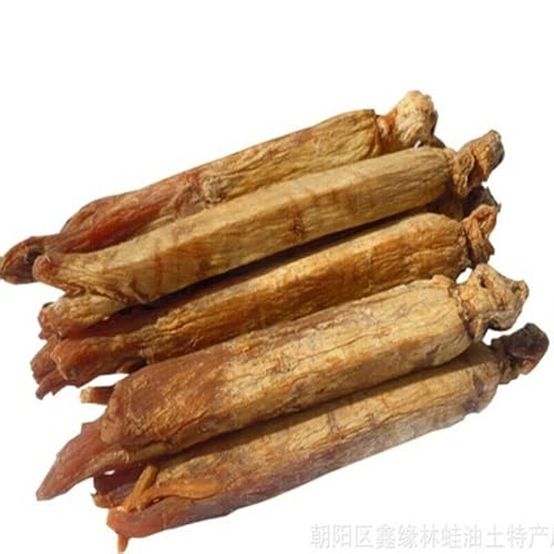 100g Natürlicher alter getrockneter koreanischer roter Ginseng-Wurzel-Kräutertee alte traditionelle Formel grünes Bio-Lebensmittel ohne Zusatzstoffe mit intensivem Geschmack leicht zu lagern von Generisch