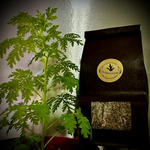 ARTEMISIUM Artemisia annua, einjähriger Beifuß Blätter, 50g, Sweet Annie/Sweet Wormwood/Qing hao, ohne Stängel/Stiele von Generisch