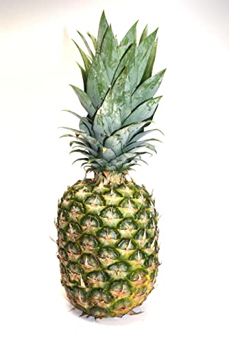 Ananas von Generisch