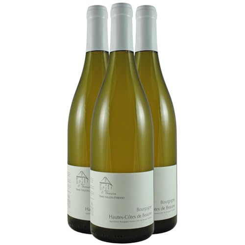 Bourgogne Hautes Côtes de Nuits Weißwein 2019 - Domaine Naudin-Ferrand - g.U. - Burgund Frankreich - Rebsorte Chardonnay - 3x75cl von Generisch