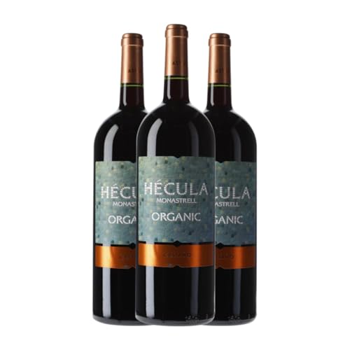 Castaño Hécula Monastrell Yecla Magnum-Flasche 1,5 L Rotwein (Karton mit 3 Magnum-Flasche von 1,5 L) von Generisch