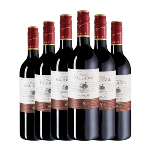 Caude Val Merlot Vin de Pays d'Oc 75 cl Rotwein (Karton mit 6 Flaschen von 75 cl) von Generisch