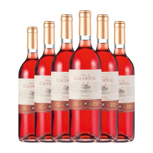 Caude Val Rosé Syrah Vin de Pays d'Oc 75 cl Rosé-Wein (Karton mit 6 Flaschen von 75 cl) von Generisch