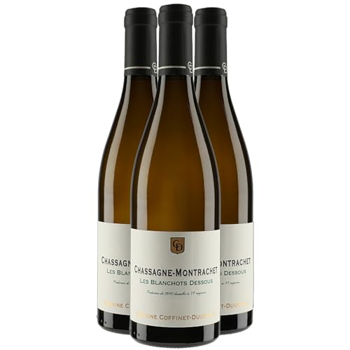 Chassagne-Montrachet Blanchot Dessous Weißwein 2022 - Domaine Coffinet-Duvernay - g.U. - Burgund Frankreich - Rebsorte Chardonnay - 3x75cl von Generisch