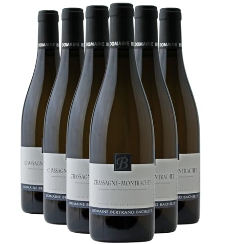 Chassagne-Montrachet Weißwein 2023 - Domaine Bertrand Bachelet - g.U. - Burgund Frankreich - Rebsorte Chardonnay - 6x75cl von Generisch