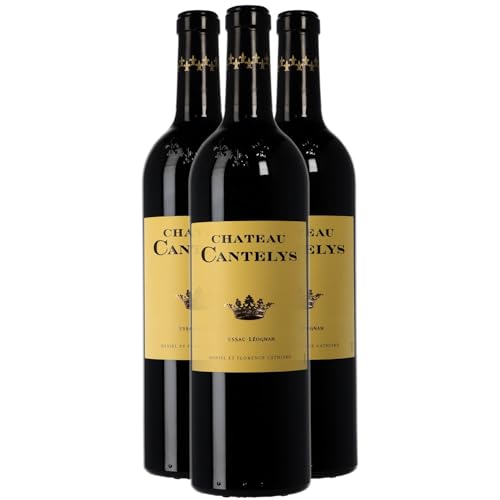 Château Cantelys Pessac-Léognan MAGNUM Rotwein 2014 - g.U. - Bordeaux Frankreich - Rebsorte Cabernet Sauvignon, Merlot, Cabernet Franc - 3x150cl von Generisch