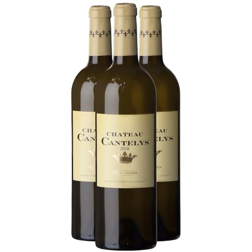 Château Cantelys Pessac-Léognan Weißwein 2020 - g.U. - Bordeaux Frankreich - Rebsorte Sauvignon Blanc, Sauvignon Gris, Sémillon - 3x75cl von Generisch