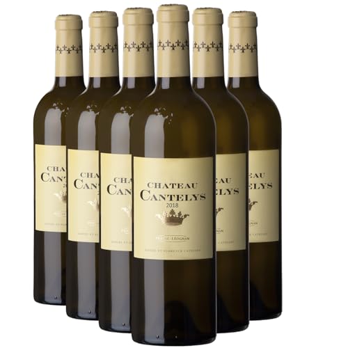 Château Cantelys Pessac-Léognan Weißwein 2020 - g.U. - Bordeaux Frankreich - Rebsorte Sauvignon Blanc, Sauvignon Gris, Sémillon - 6x75cl von Generisch