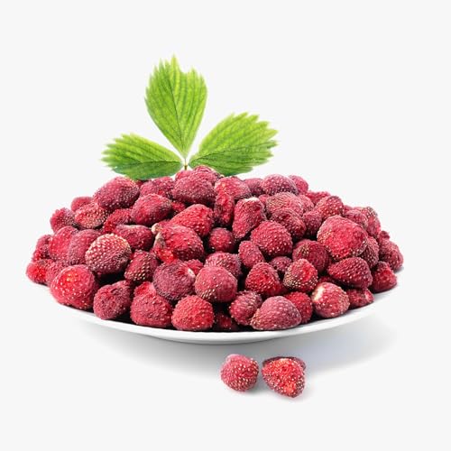 biolla food getrocknete ganze Erdbeeren, 0,5 kg, 100% natur. Gesunde Snacks für Kinder. Ideal für Smoothies, oatsome Müsli, Tee und Porridge. Lange haltbar. VEGAN, GLUTENFREI, ROHKOST von Generisch