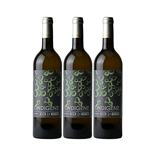 Indigène Weißwein 2018 - Les Frères Moine - französischer Wein - Süd-West Frankreich - Rebsorte Chenin - 3x75cl von Generisch