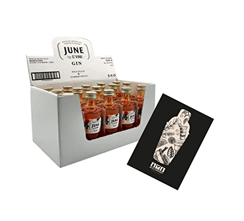 Generisch June by G Vine Gin Miniatur 15x 50ml (37,5% vol) Wild Peach + Summer Fruits Mini- [Enthält Sulfite] von Generisch