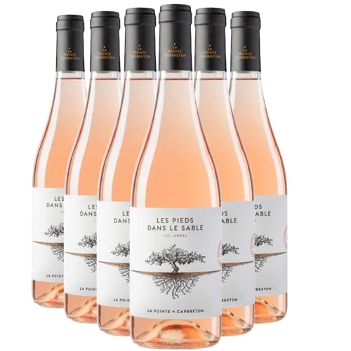 Landes Les Pieds dans le Sable Roséwein 2023 - Domaine de la Pointe - g.g.A. - Süd-West Frankreich - Rebsorte Cabernet Franc, Cabernet Sauvignon - 6x75cl von Generisch