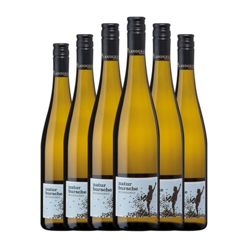 Landgraf Naturbursche Weißburgunder Trocken Rheinhessen 75 cl Weißwein (Karton mit 6 Flaschen von 75 cl) von Generisch