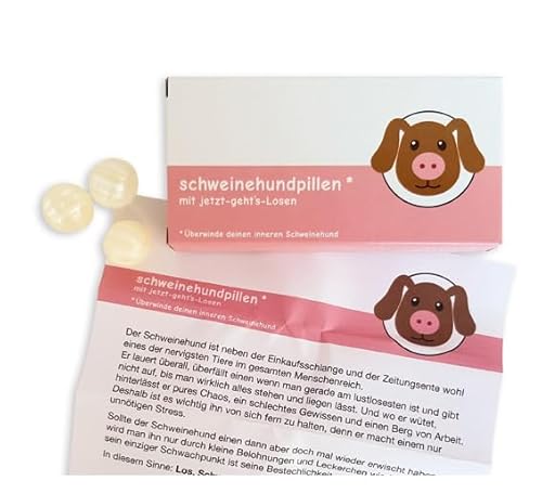 Liebeskummerpillen "Schweinehundpillen"| Inhalt: 25 g Fruchtbonbons mit Erdbeergeschmack und ein witziger Beipackzettel mit praktischer Anleitung | Geschenkidee für Faulpelze | Motivationsgeschenk von Generisch