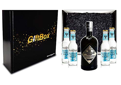 Mixcompany Geschenkset - Needle Masterpiece Dry Gin 0,5L (45% Vol) + 4 x Fever-Tree Mediterranean Tonic Water 0,2l MEHRWEG inkl. Pfand- Needle Masterpiece Gin Geschenk Set von Generisch